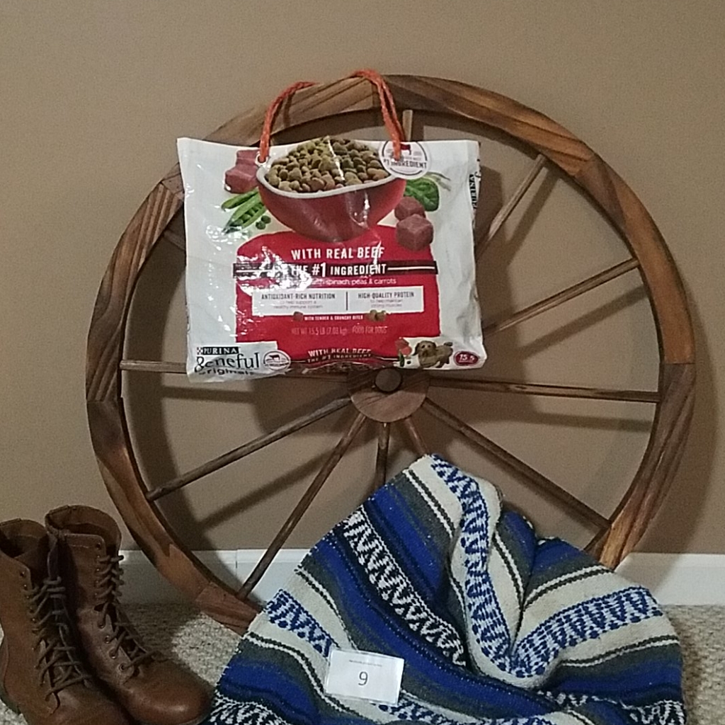 Upcycled Beneful Dog Food Bag